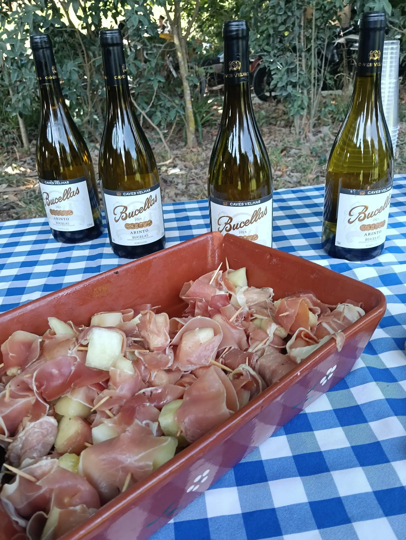 Mesa de Vinhos e Convívio